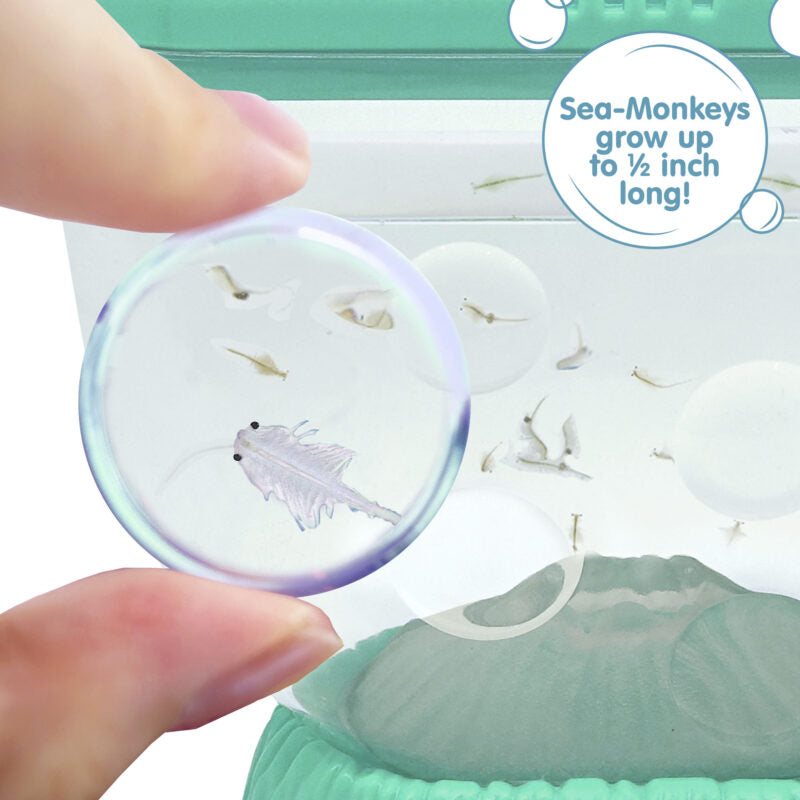 Sea-Monkeys Ocean Volcano - US 2214