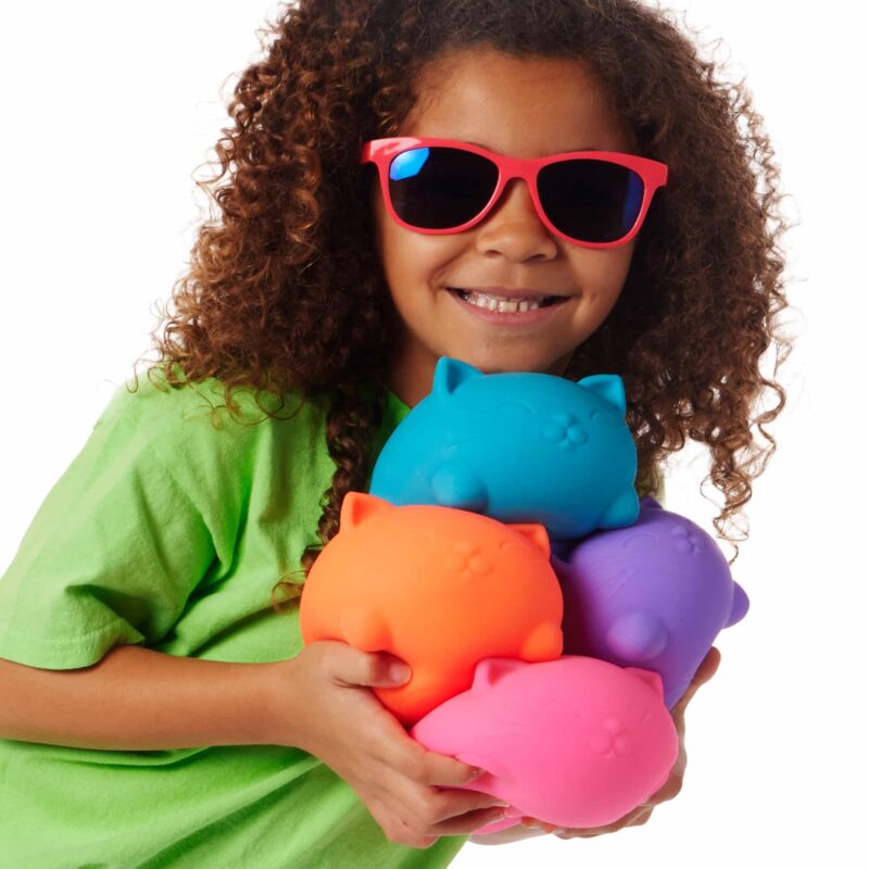 Super NeeDoh Cool Cats - US 8902
